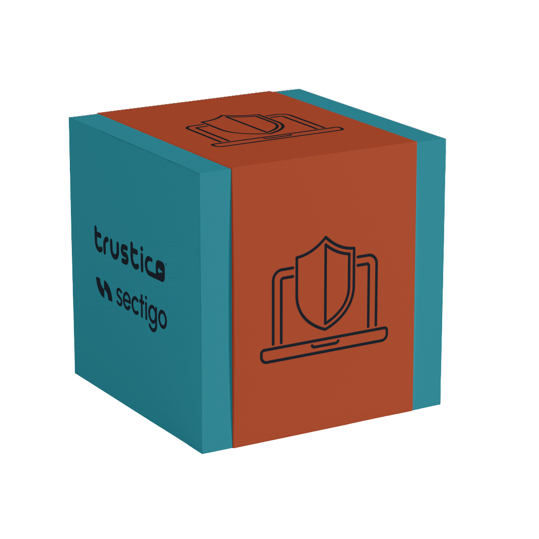 A teal and rust-colored cube displays a laptop with a shield icon and the words Trustico® and “Sectigo® DV + Wildcard” from Sectigo® CA on its left face.